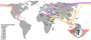 Human migration